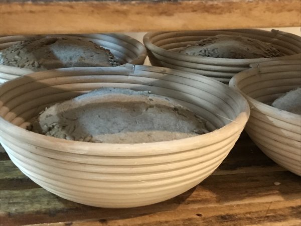 Brot im Gärkörbchen